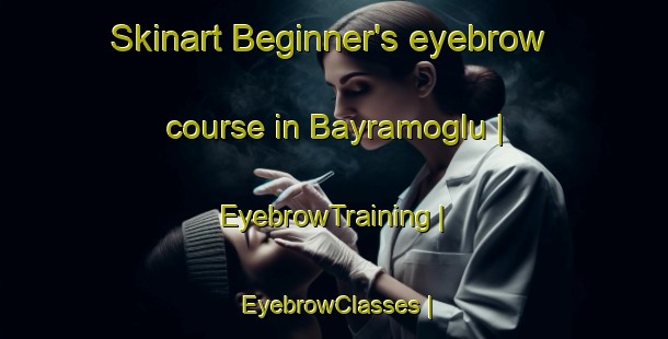 Skinart Beginner's eyebrow course in Bayramoglu | EyebrowTraining | EyebrowClasses | SkinartTraining-Turkey